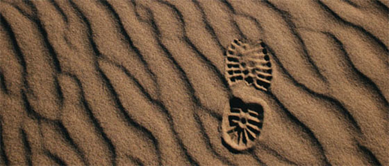 Dionisio Ruiz asesoramiento