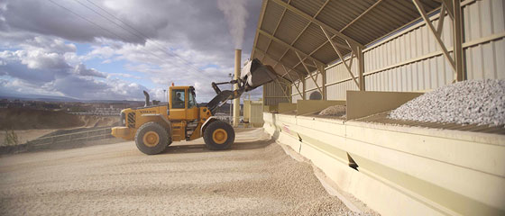 Dionisio Ruiz áridos